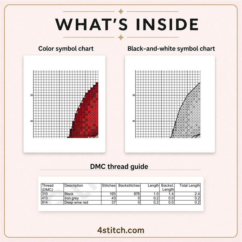 Protected partial color and black-and-white symbol charts with the first three DMC thread-guide rows for Christmas Lights Santa Gnome.