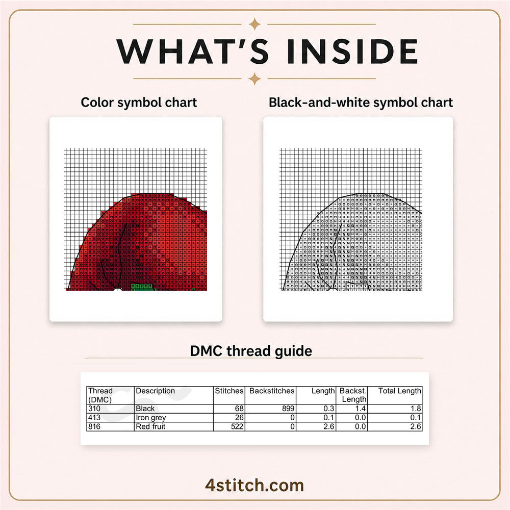 Protected partial color and black-and-white symbol charts with the first three DMC thread-guide rows for Holly Candy Cane Gnome.